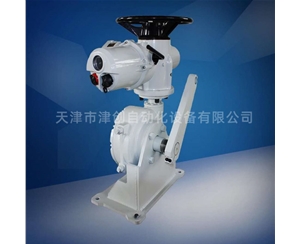 羅托克角行程電動執行器