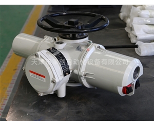 引進羅托克技術多回轉電動執行器